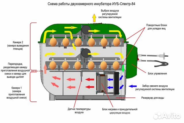 Инкубаторы 36-104 яиц гарантия купить на Зозу.ру - фотография № 2