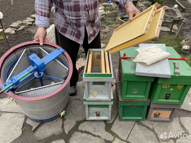 Пчеловодство купить на Зозу.ру - фотография № 3