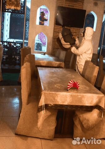 Уничтожение клопов, тараканов, клещей Уничтожение клопов, тараканов, клещей