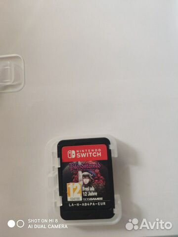 Bloodstained Ritual of the Night switch Bloodstained Ritual of the Night switch