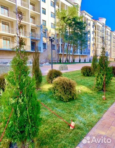 1-к квартира, 49 м², 2/5 эт.