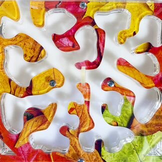 Муравьиная ферма комплект Муравьиная ферма