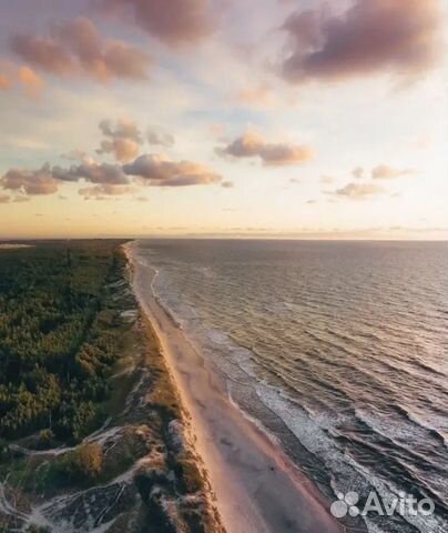 Индивидуальная экскурсия с гидом на Куршскую косу