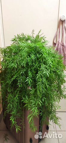 Искусственная трава в кашпо