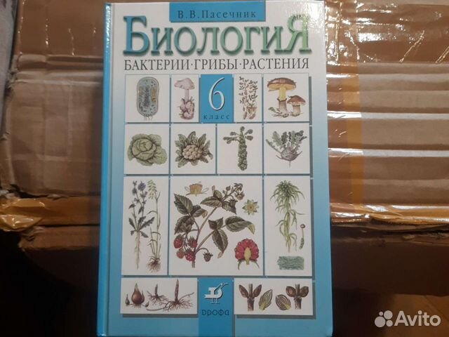 Биология 6 класс. Бактерии, грибы, растения. Пасечник. Учебник по биологии Пасечник в.в. бактерии грибы растения. Учебник по биологии 6 класс Пасечник. Биология. 6 Класс. Учебник.