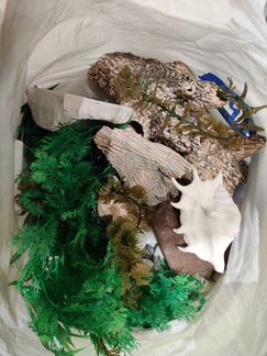 Аквариумное растение, камни, коряги