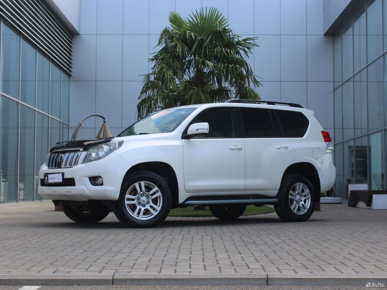 Land Cruiser Prado 2010 Jeep