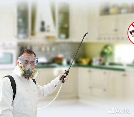 Уничтожение тараканов, клопов, дезинсекция