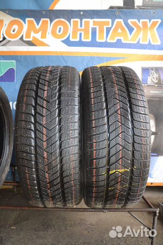 Pirelli Scorpion Winter 265/50 R20 111H