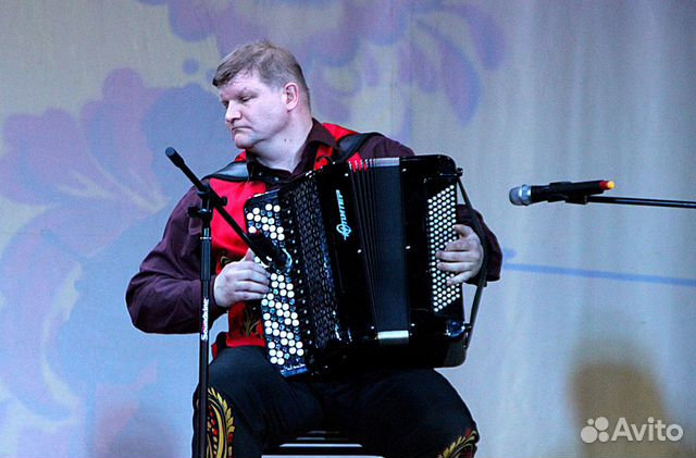 Баянист, гармонист на праздник