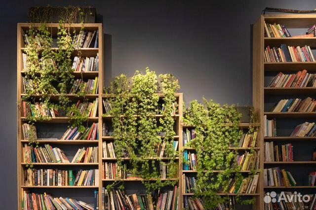 Книги С-Т-У-Ф