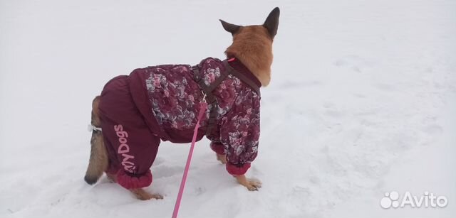 Комбинезон зимний для собаки ForMyDogs