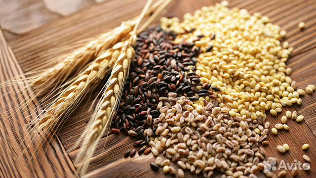 Комбикорм, злаки, корм для собак