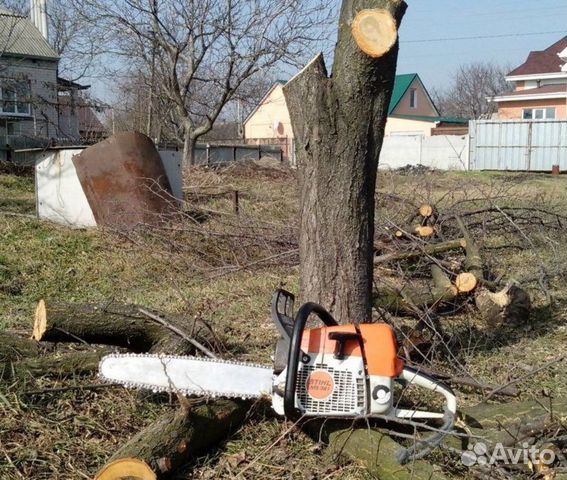 Спил деревьев