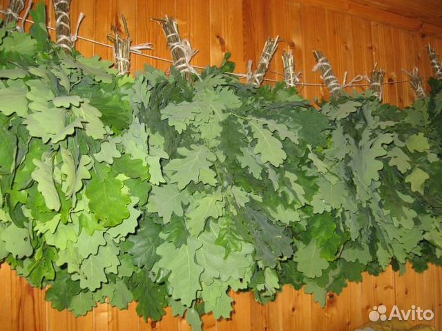 Веники дубовые, березовые, пихтовые для бани