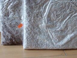 Мицелий грибов вешенки, шампиньоны,опята зимнии,ши