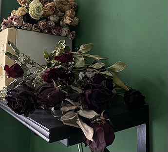 Купить сухоцветы в москве в розницу дешево доставка цветов актюбинский азнакаевский