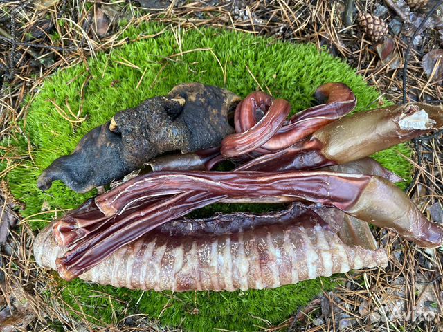 Лакомства для собак от