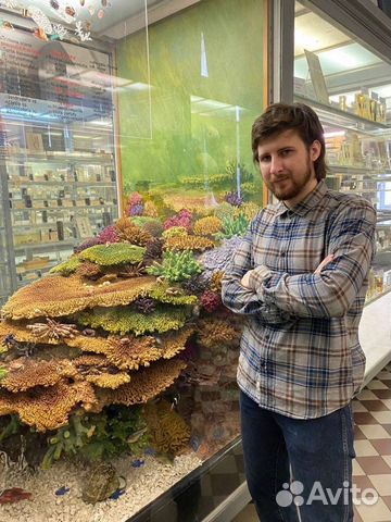 Репетитор по биологии и химии