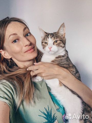 Передержка кошек на время отпуска