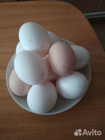 Домашние куриные яйца