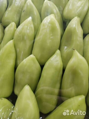 Перец молодой узбекский