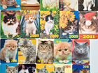 Календарики с Кошками 150 штук