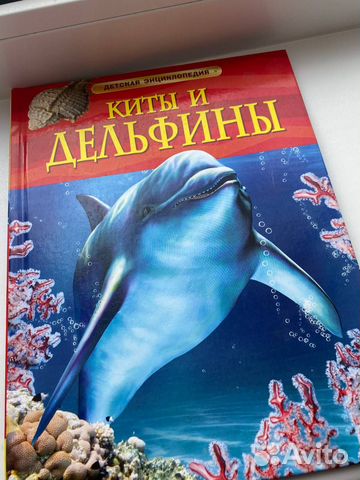 Киты и дельфины энциклопедия