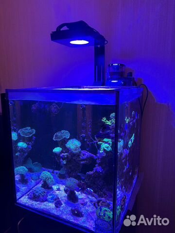 Обслуживание аквариумов