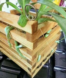 Подвесная кашпо-корзина для орхидей