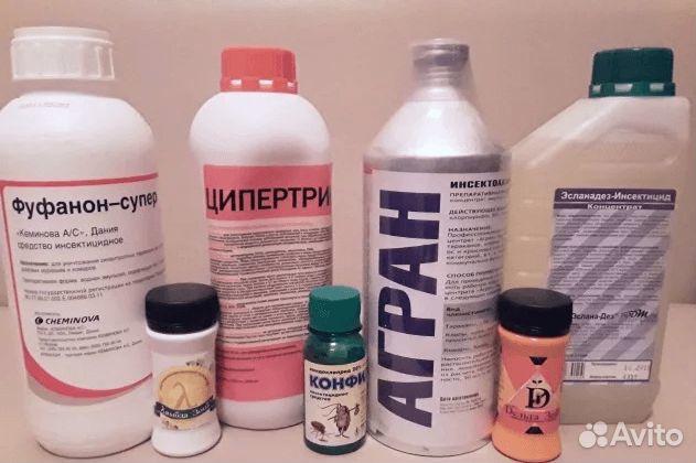 Средства Препараты Химия от клопов тараканов