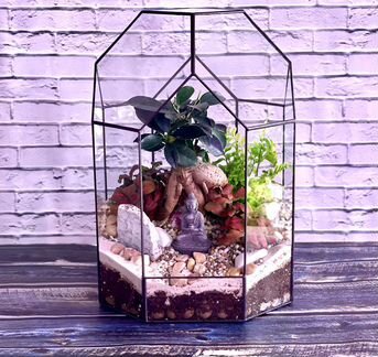 Флорариум Пэлис 