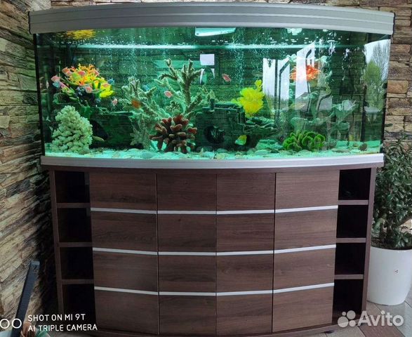 Обслуживание аквариумов