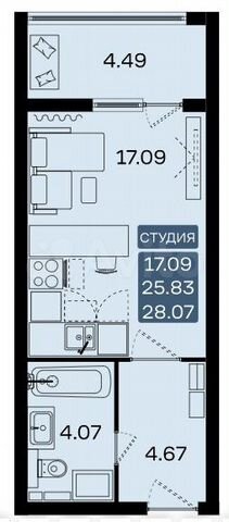 Квартира-студия, 28,2 м², 2/17 эт.