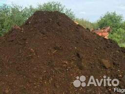 Коровий перегной