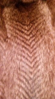 Шуба из енота