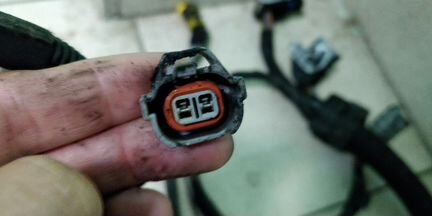 Проводка мотора Ситроен Джампер 2.2 HDi