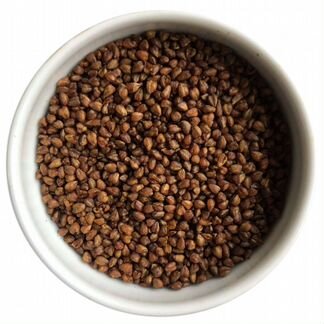 Темный гречишный чай «ку цяо»