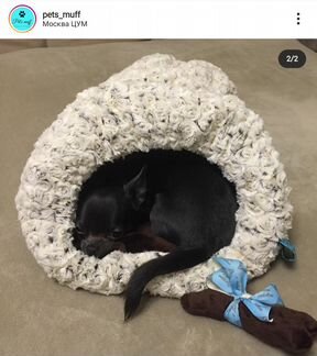 Лежанка/домик для маленьких собак 