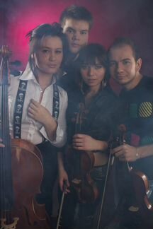 Струнный квартет, оркестр, живая музыка, скрипач