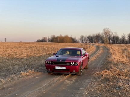 Dodge Challenger AT, 2010, 49 800 км