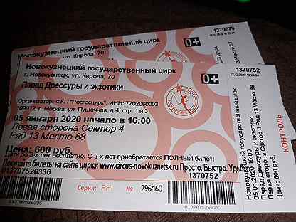 Цирк пенза билеты 2024. Билет в цирк. Билет в Кемерово. Билет Кемерово Москва фото. Фото билета Кемерово.