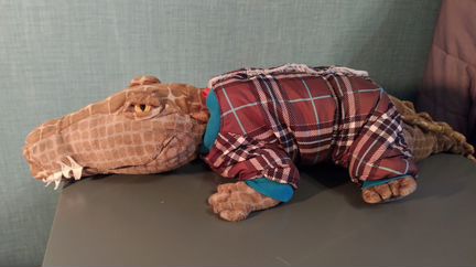 Утеплённый комбинезон для маленькой собаки