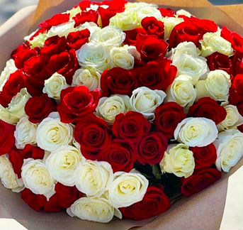 Розы, букеты цветов, 101 роза, 51роза