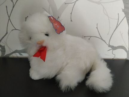 Кошечка