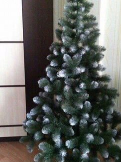 Ель