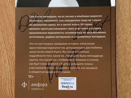 Книга Nirvana взгляд изнутри
