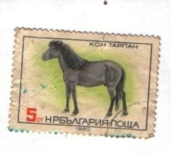 Марка Болгария 1980 лошадь
