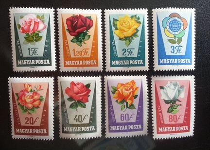 Венгрия. 1962. Флора. Цветы. Розы