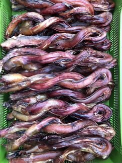 Лакомства для животных бычий корень